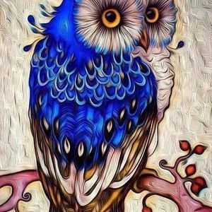 Meet your Posher, Janis